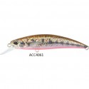 ACC 4061